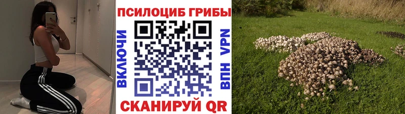 Псилоцибиновые грибы MAGIC MUSHROOMS  Сосновый Бор 