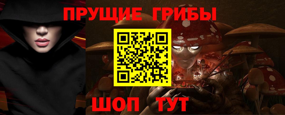 Сосновый Бор  Галлюциногенные грибы прущие грибы  наркота  Вход с VPN  Псилоцибиновые грибы прущие грибы 